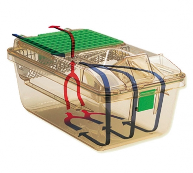 Super Mouse 750™ Ventilated Cages for housing laboratory mice.