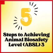 5 Steps to Achieving Animal Biosafety Level (ABSL) 3