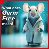 Do you know the difference between Gnotobiotic and Germ-Free animals?